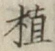 글자 植