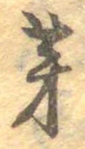 芽 위치 확인됨