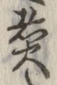 已定位煮