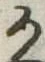 位置定マレル𛀚