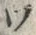 字ワ