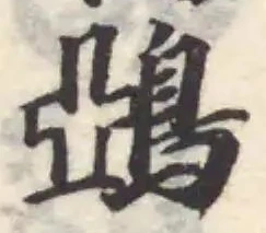 鵶 위치 확인됨