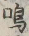 鳴 위치 확인됨