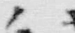 文字造