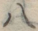 八 위치 확인됨