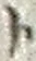 「ト」字