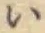 글자 い
