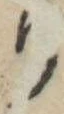り 위치 확인됨