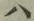 字ハ
