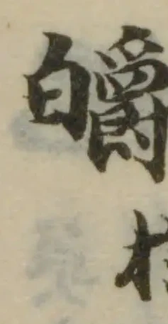 皭 위치 확인됨