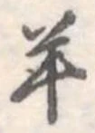 羊 위치 확인됨