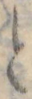 位置 確認된 と