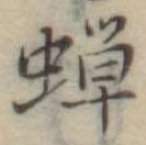 蝉 위치 확인됨