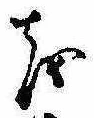 𛄚の位置