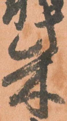 柴 위치 확인됨