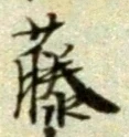 글자 藤