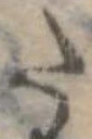 𛁠 위치 확인됨
