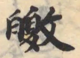 皦の位置