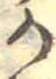位置定マレル𛀚
