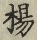 文字楊
