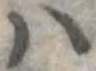𛂞の位置