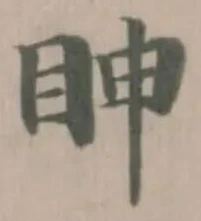 眒 위치 확인됨