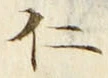 字仁