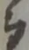 拠 위치 확인됨