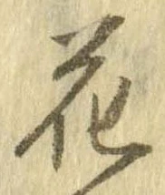 花，已得其位