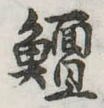 鱣 위치 확인됨