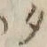 文字 タ