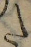 𛁠の位置