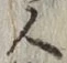 글자 人