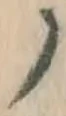 글자 ノ