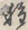種の位置