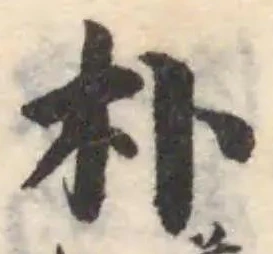 朴の位置