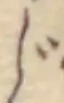 글자 じ
