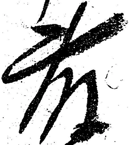 藤の位置
