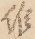 維 위치 확인됨