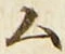 𡨸ム