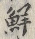 鮮 위치 확인됨