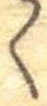 くの位置