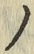 字ノ