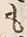 𡨸も