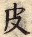 位置定マレル皮