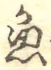 魚 위치 확인됨