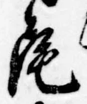 Located 尾