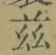 文字茲