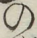 字の