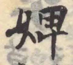 婢の位置